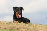 BEAUCERON 505